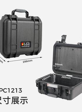 鼎瑞新RPC1213小型手提安全防护箱 精密仪器仪表实验器材防潮箱