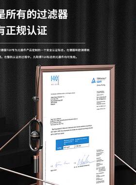 纽曼泰克低压损过滤器PRIMAK PF9-490FC螺纹法兰PRIMAK W420-2380