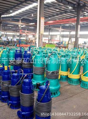 济宁安泰EXDIICT4防爆潜污水电泵运行稳定WQB30-30-5.5