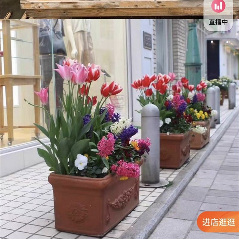 麦穗马槽 50*28*28 Y红陶泥花盆