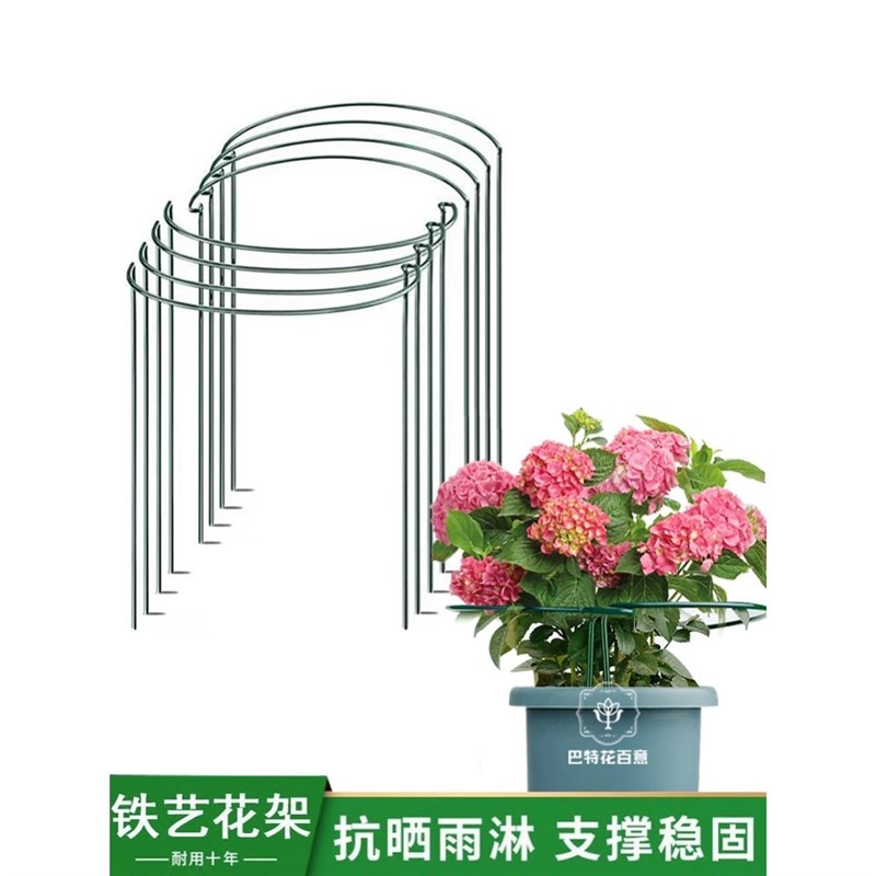 圆形防倒伏支架半圆花架支撑杆爬藤E支撑铁艺龟背竹园艺植物支撑