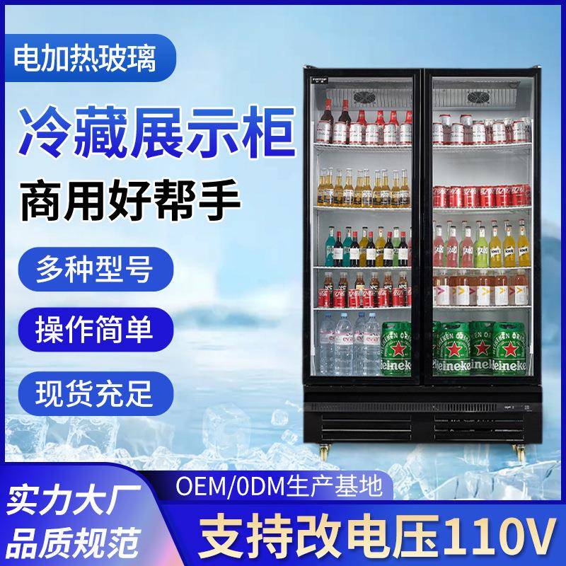 跨境商用酒水饮料蔬果冷冻展示柜系列多功能保鲜冷藏展示酒水柜