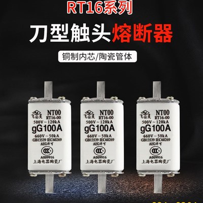 熔断器熔芯RT16-00保险丝NT00 63A100A125A160A250A630A