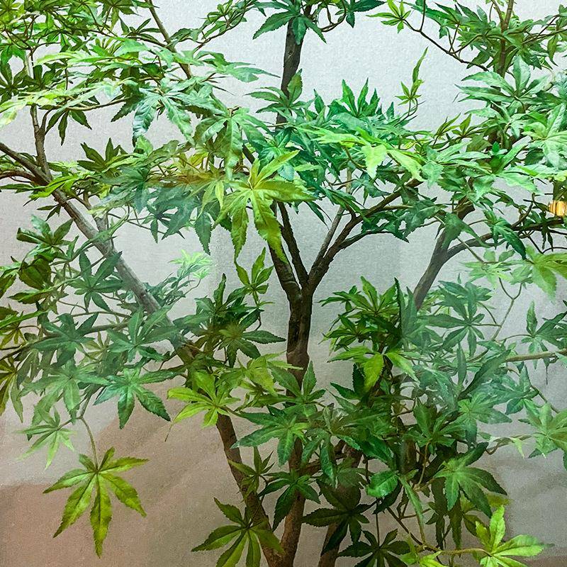 仿真青商枫树大型植物绿植酒假树造室内装饰场C10店装饰落地景红
