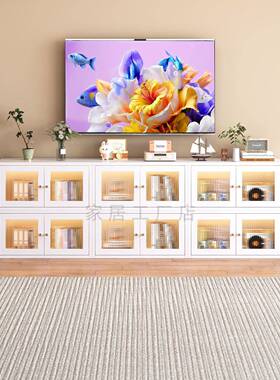 DSG-01?制电视柜法式家奶油风客厅用落地置物柜物柜收储纳钢柜铁