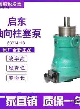 启东高压油泵10/25/32/4063/10c02-50SCY总成/24055sy141b轴向柱