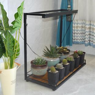 阳台多肉花架块根植物架子甲桌龙架室内绿YJJ-HJ01植龟面窗台支可