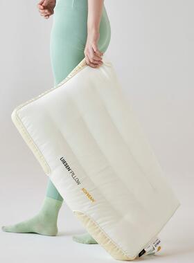 DBSA类大豆肤枕豆枕高枕家用柔软亲深肤睡枕芯中枕头