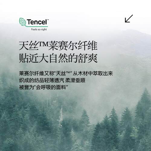 00s精天丝床笠单件春1夏家用双兰人床垫66保护套宿舍单人床笠