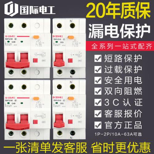 国际电工小型断路器DZ47家用电闸1/2P63A总空气开关带漏电保护器