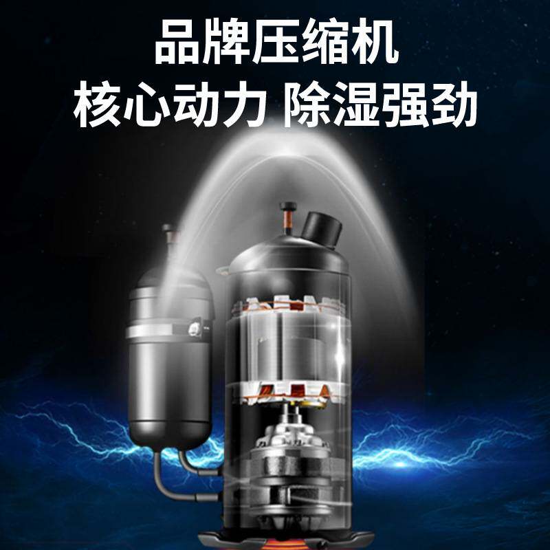 露典除湿机工厂 家用大容量静音智能卧室地下室大功率 小型抽湿机