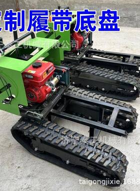橡胶履带底盘型电形动遥控全地钢制履带电动履带底大盘IER总成