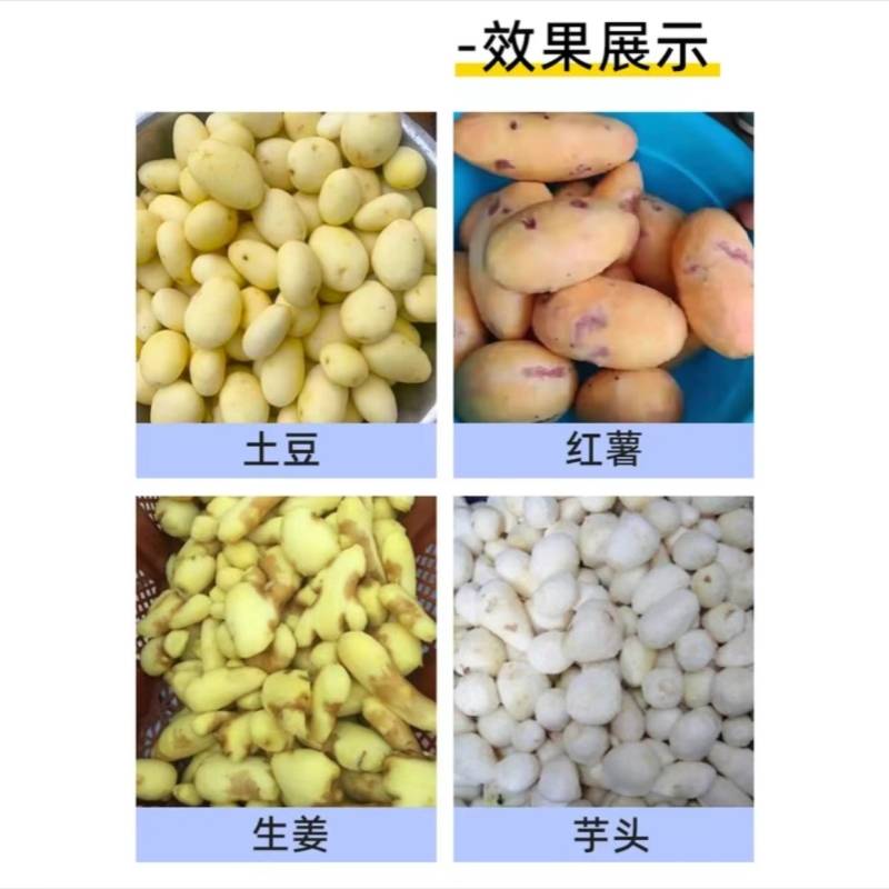 商用土豆去皮机小型脱皮机洋葱清洗削皮神器家用地瓜姜洋芋头去皮
