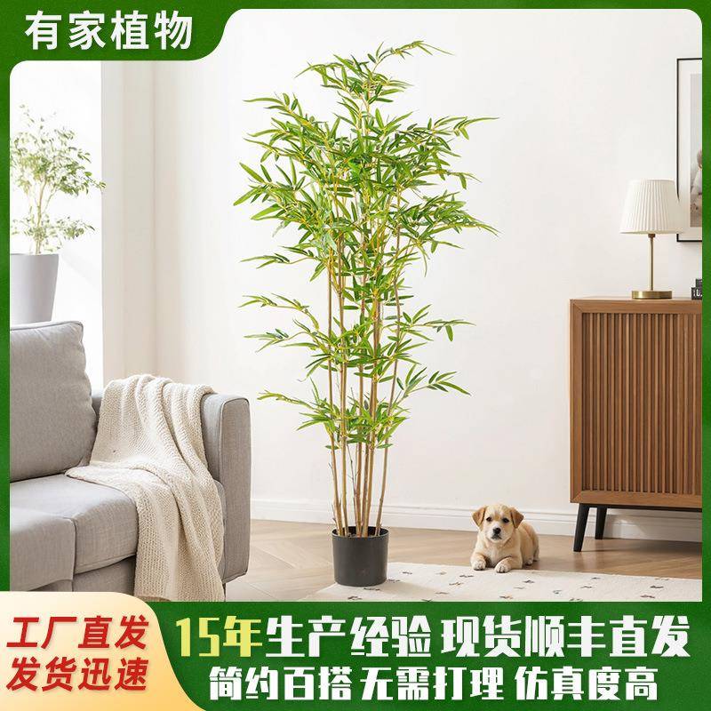 仿真绿植竹子盆栽室内装饰户外园林造景摆件人造假竹子迷你竹子