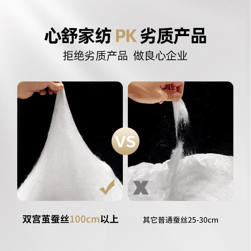 1全棉双结宫茧桑蚕长丝0母0春秋冬桐乡抗菌子被芯二合一加厚婚庆