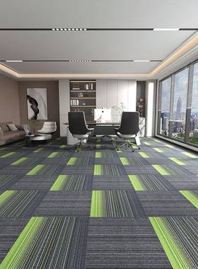 办公室地毯台球厅接厅卧程LCH拼室客工商用写字楼毯