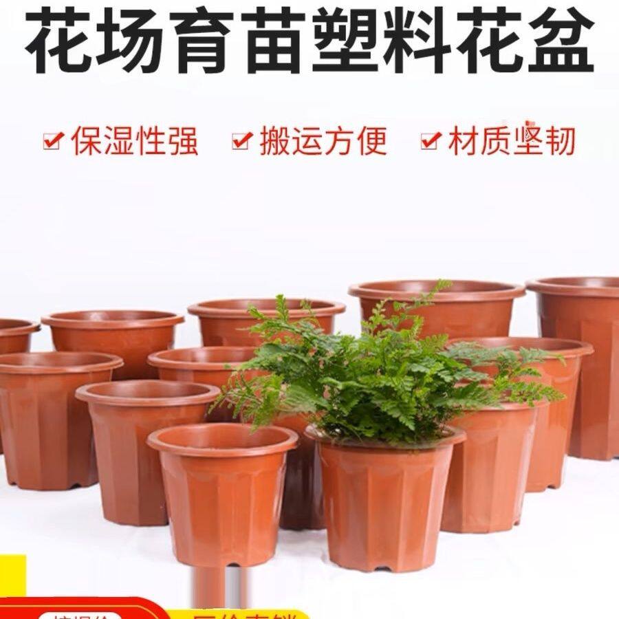 直销加厚耐用塑料花盆基地育苗阳台基地种植多肉盆育苗盆种菜花盆