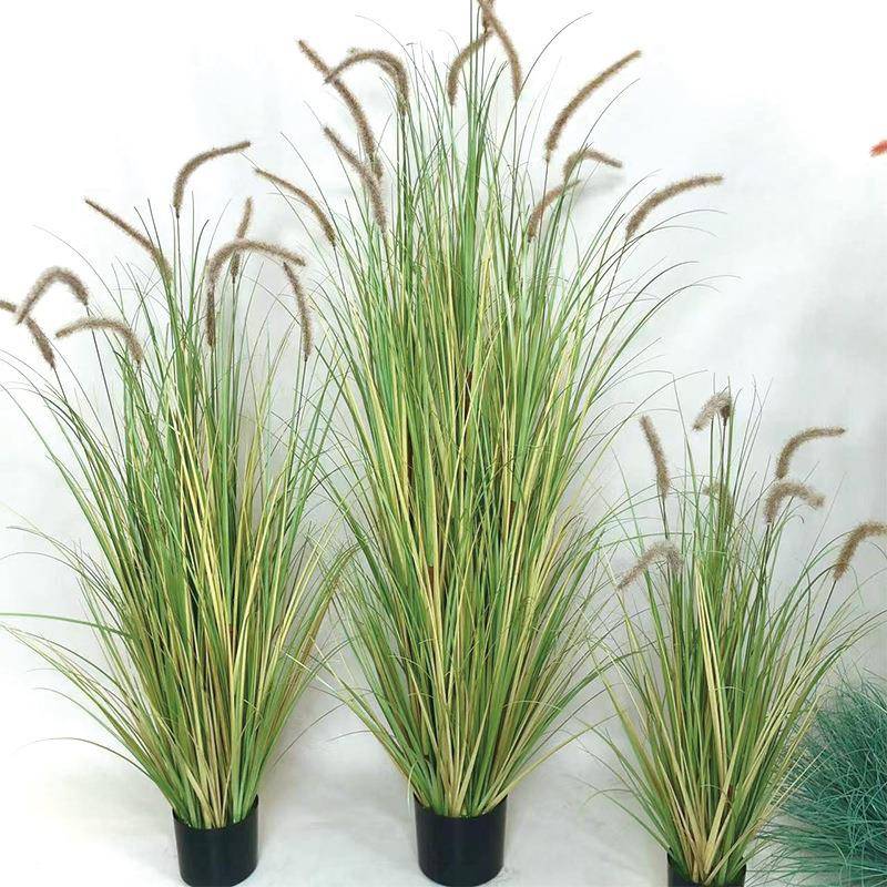 仿2023320真狗尾巴芦苇观植景物造景内客厅橱窗落地摆件假室草花