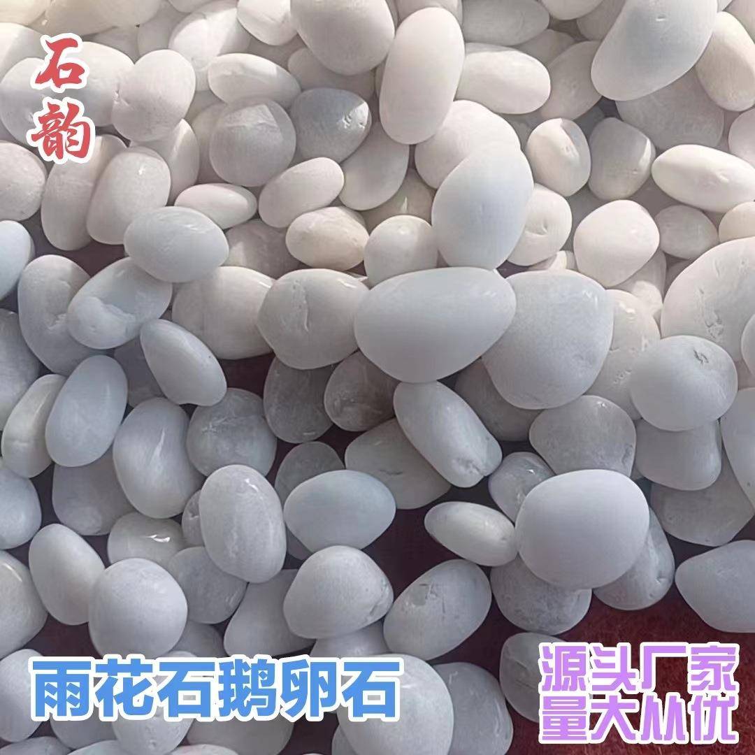 天景然软混色五彩雨97花石鹅卵石园林铺路鱼缸造景混彩观石沙石