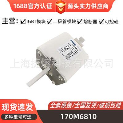 170M6810 170M6811 快速熔断器 保险丝 电子元器件 量大价优