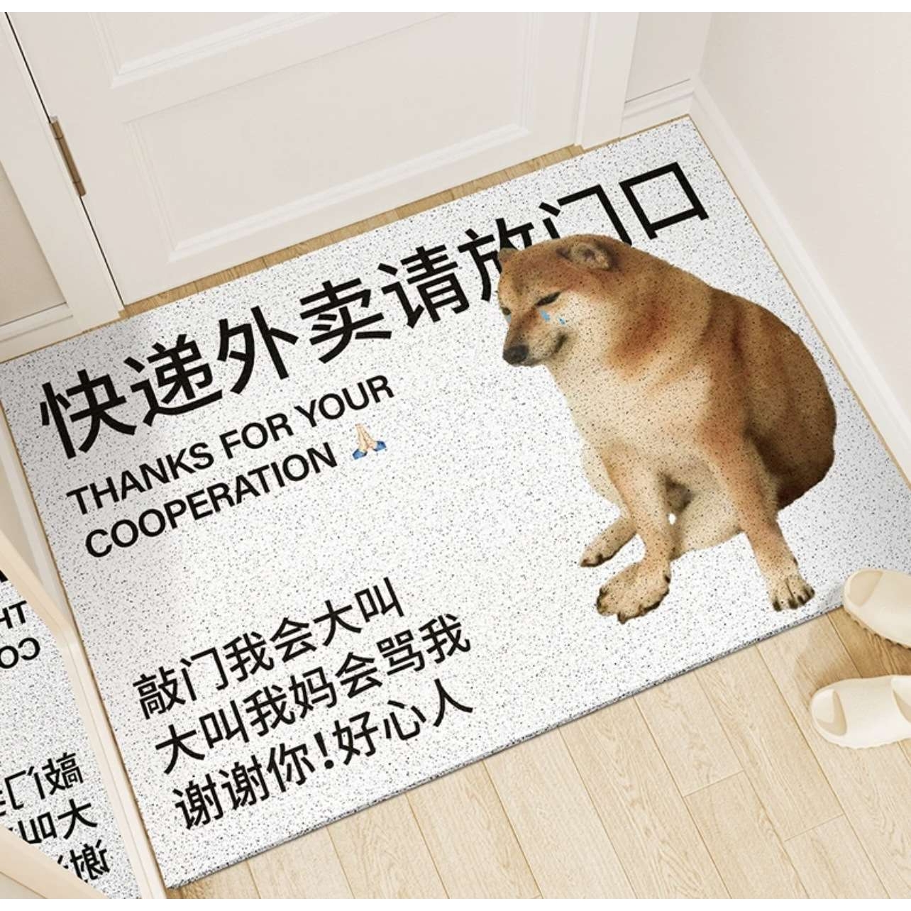 外卖房门口地垫入户防滑耐磨脚垫丝圈玄关大门口蹭土家用耐脏垫