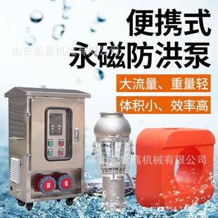 防汛泵防洪抢险排涝泵 不锈钢永磁同步电机水泵防洪排涝利器