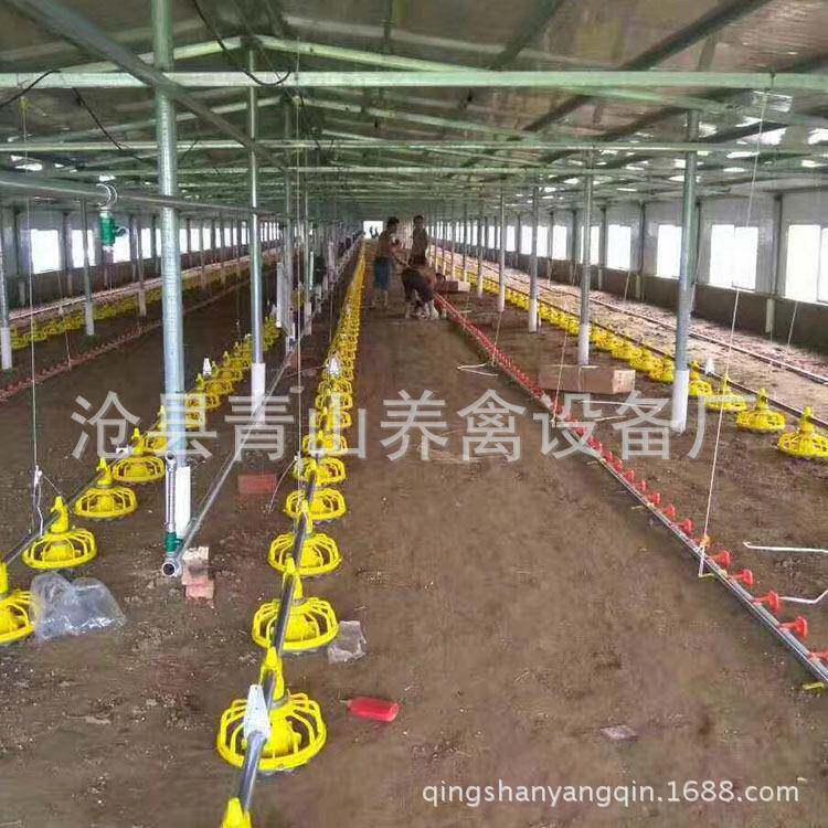自动料养平养鸡自动料线散XZQ肉鸡备料线鸡自动喂料设鸭线子鹅料