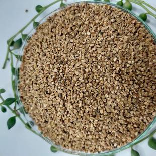 核过桃砂工业颗粒污水处理滤料厂矿油油油田除滤脱油滤净化核桃壳