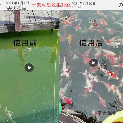 转离鼓滤机鱼池动反冲洗IBX循环自鱼便分过滤器水产微养殖微滤麦