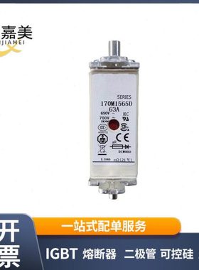 170M1565D 170M1566D 170M1567D 快速熔断器 电子元器件 量大价优