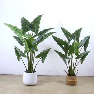 新款仿真假植萨利安海芋叶盆栽假树室内客厅仿真植物景观装饰摆件