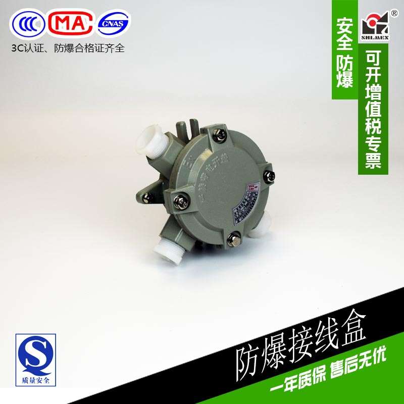新黎明防爆接线过线盒AH-G1 1 2 DN40 1.5寸国标IIB IIC