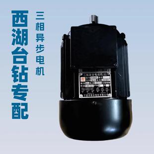 西湖台钻电机YS-8024T YS-8026T三相异步电动机卧式电机马迪牌