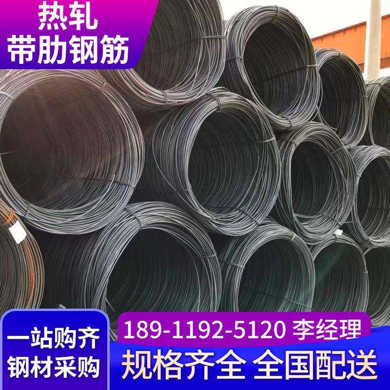 河钢大厂建筑盘螺钢筋hpb300φ8 φ10号盘螺线建筑带勒钢筋,乐器/吉他/钢琴/配件,其它乐器配件,淘宝优惠券,粉丝福利购,淘宝优惠卷