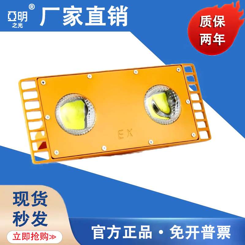 隧道灯led防爆灯仓库户外灯100W200w加油站船用低压24V36V投光灯