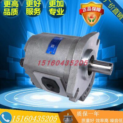 合肥长源齿轮油泵 CBF-F650/F663/F671/F680/F690/F6100-AFP/AFPL