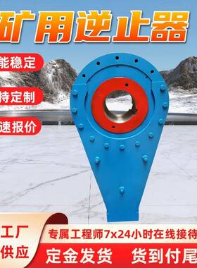 非接触式逆止器 低速防逆转装置 NYD(NJ)220非接触式逆止器