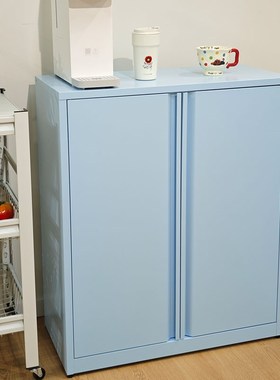 多巴胺蓝色铁皮对开门收纳u储物柜客厅餐厅卧室大容量多层置物架