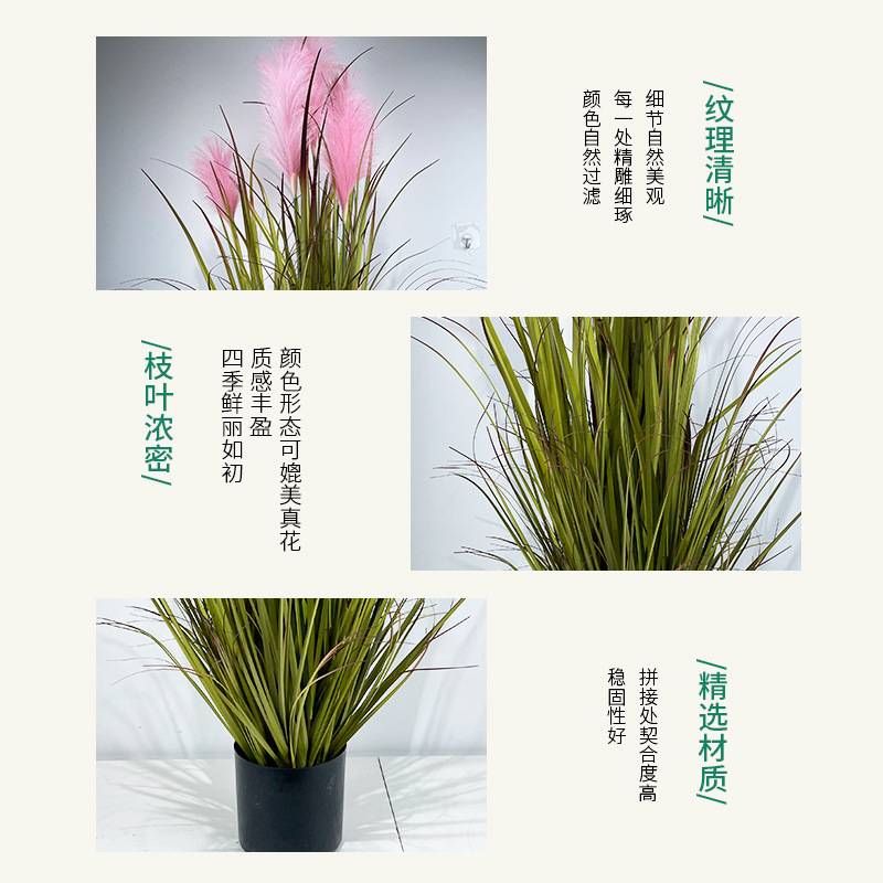 仿真绿植盆栽造景洋葱草家居装饰仿真植物盆景摆件绿植仿真绿植