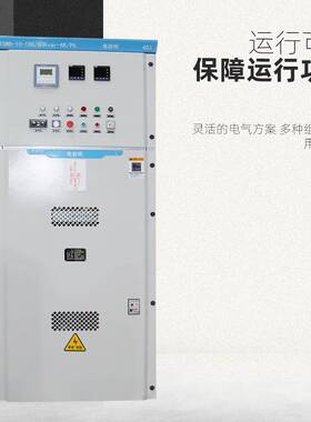 高压电容柜TGWB-10高压无功自动补偿控制柜