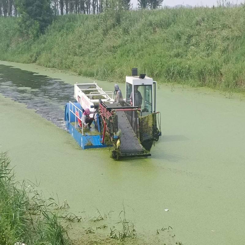 全自动水草芦苇收割船 打水上漂浮物保洁船 浒苔水草水藻打捞船
