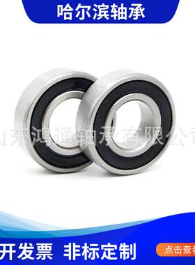 哈尔滨鸿通轴承6415 6416 6417 6418 6420ZZ/2RS 深沟球轴承