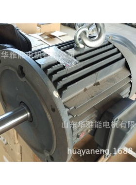 可替代湘潭电机YE4-90S-6-0.75KW立式卧式上线侧线380V IP55电机