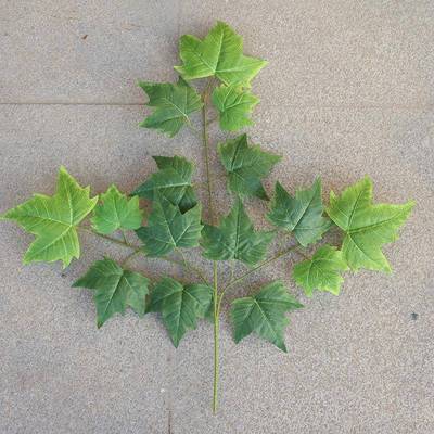 仿真树枝树叶塑料植物假法桐叶装饰梧桐榕树叶假叶子绿植工程造景