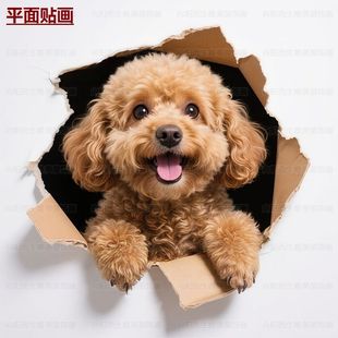 狗狗贴纸泰迪自粘防水贴超萌可爱墙面墙贴门贴车贴遮挡划痕P288