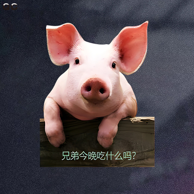 创意小猪今晚吃啥搞笑汽车贴纸