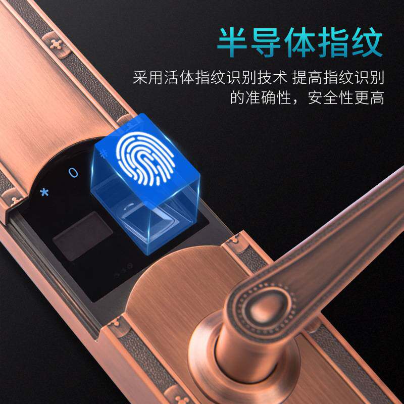 防雨防冻密码锁家用防盗门锁欧式双开门智能锁防水别墅大门指纹锁