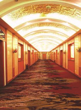 岛青地毯厂酒家店走廊K1001TV电影院满铺毯客厅卧毯室羊毛毯商用