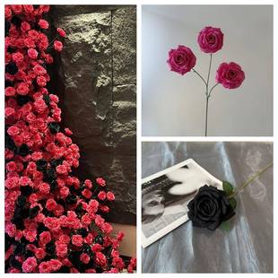 玫场瑰花瀑布布弗10018625洛伊德玫墙瑰感商置网红花打卡婚庆拍照