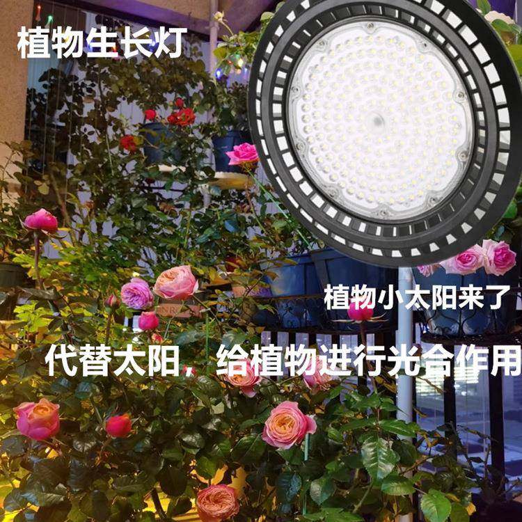 大棚植物太光灯室内月季绣球绿植盆栽全光谱多肉卉补仿阳花ZTT生